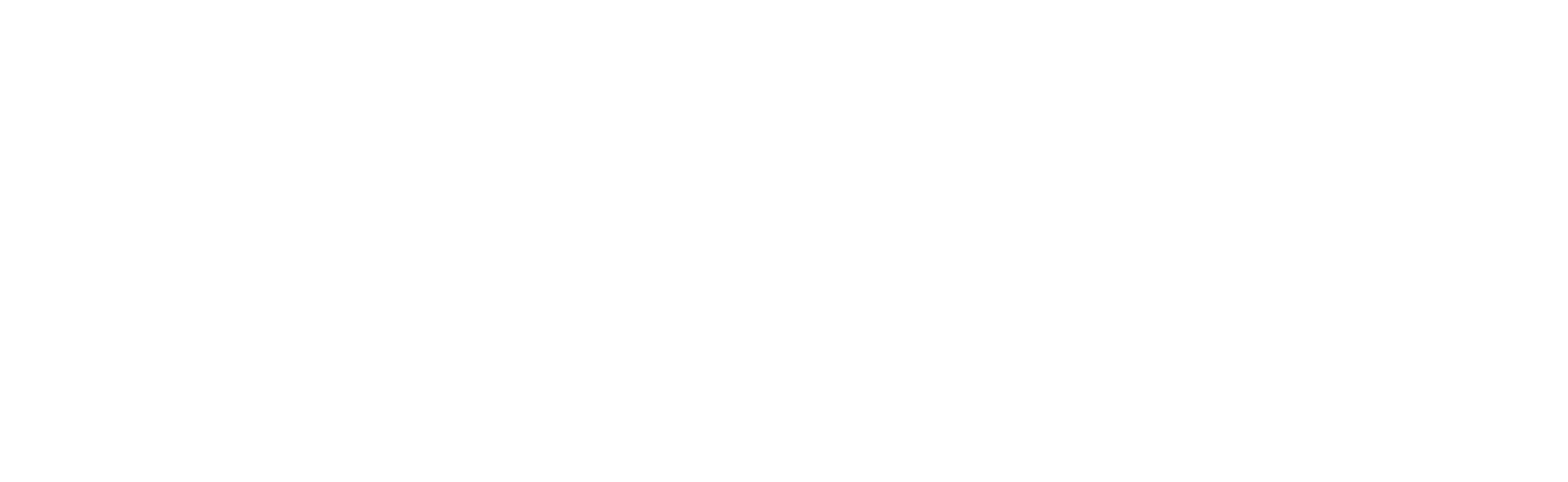 white logo no background